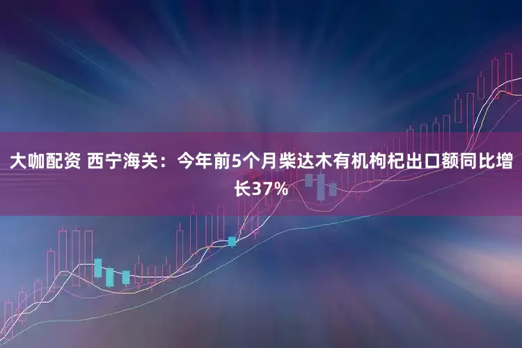 大咖配资 西宁海关：今年前5个月柴达木有机枸杞出口额同比增长37%
