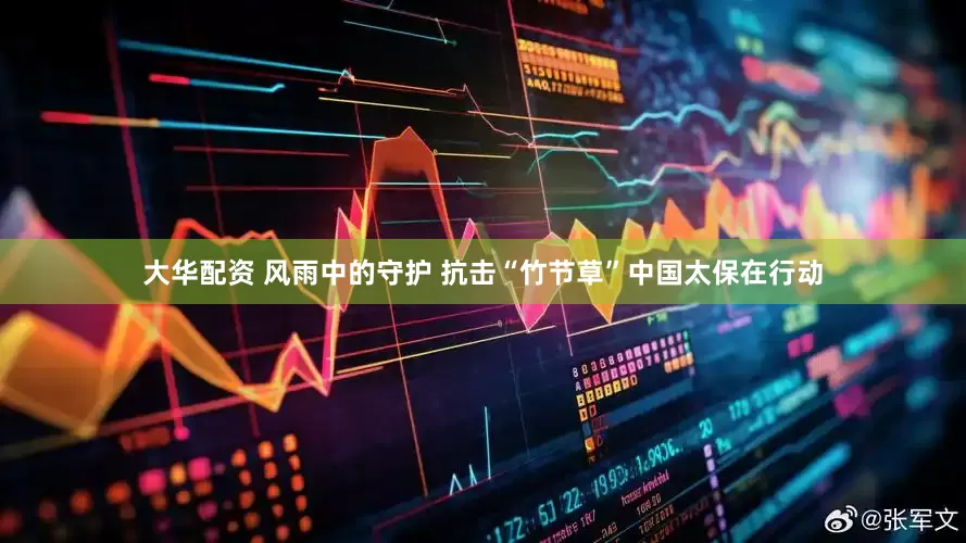 大华配资 风雨中的守护 抗击“竹节草”中国太保在行动