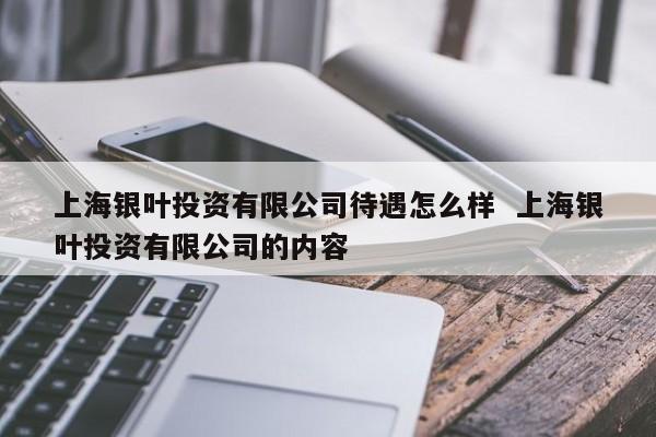 上海银叶投资有限公司待遇怎么样  上海银叶投资有限公司的内容