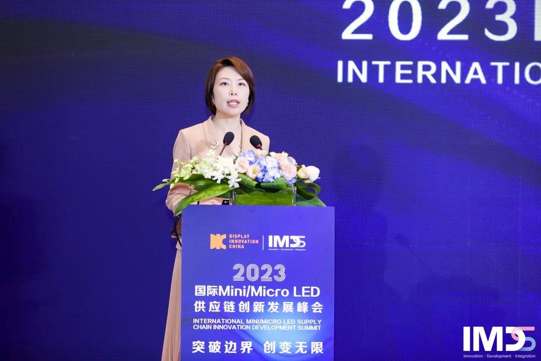 第三届国际Mini/Micro LED供应链创新发展峰会(IMDS 2023)成功举办